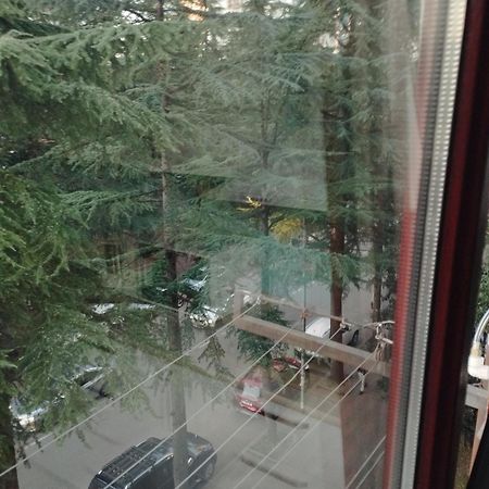 באטומי Apartment Ge Zvezda מראה חיצוני תמונה